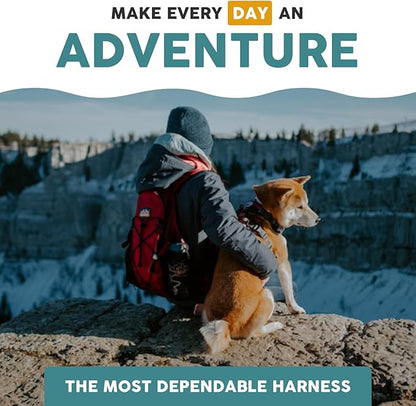 Embark Adventure No-Pull XL Dog Harness for Extra Large Dogs – Reflective Trim, Military-Grade Nylon, Dual Leash Clips, Gel-Lined Handle