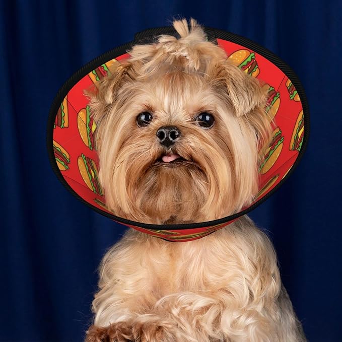 Lightweight Recovery Elizabethan Collar for Cats, Puppies, and Dogs, Adjustable Pet Cone for Small Dogs, Burger Hamburger Pattern Red