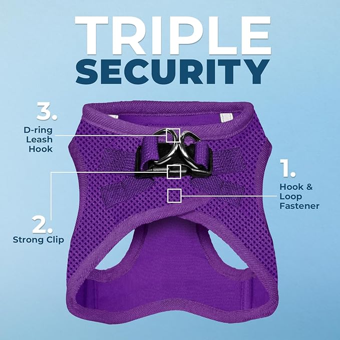 Best Pet Supplies Voyager Step-in Air All Weather Mesh Harness and Reflective Dog 5ft Leash Combo with Neoprene Handle, for Small, Medium and Large Breed Puppies - Set (Purple), XX-Small