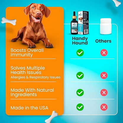 Natural Antibiotics for Dogs Without Vet Prescription – Dog Antibiotics for Infection, Cough, UTI, Allergies – Dog Itching Skin Relief Supplement – Bacon Flavor (2 oz)