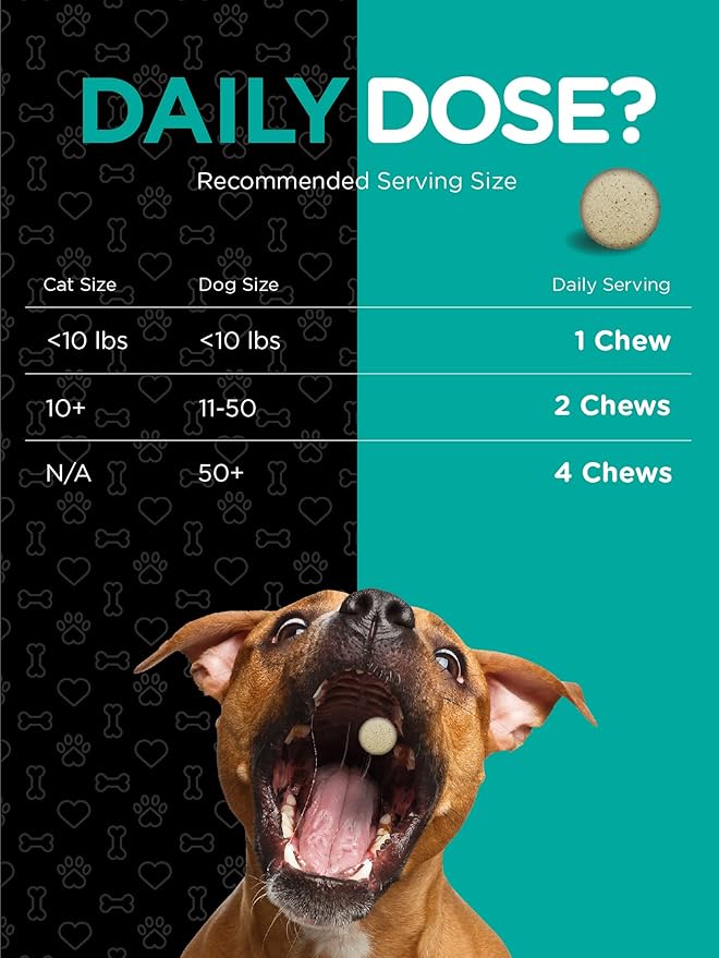 Horbaach Probiotics for Dogs and Cats | 120 Chewable Tablets | Digestive Health Supplement with 14 Strains | Savory Beef Flavor | by River & RULA