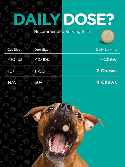 Horbaach Probiotics for Dogs and Cats | 120 Chewable Tablets | Digestive Health Supplement with 14 Strains | Savory Beef Flavor | by River & RULA
