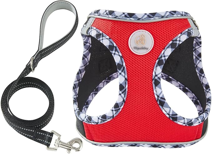 Hipubby Dog Harness Small Sized and Leash Set, No Pull Soft Mesh Puppy Vest, Reflective Breathable Lightweight Pet Harness, Harness for Small Medium Dogs and Cats - Black Red, L