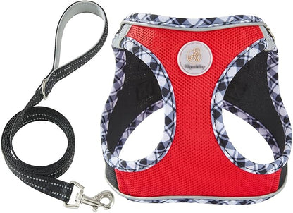 Hipubby Dog Harness Small Sized and Leash Set, No Pull Soft Mesh Puppy Vest, Reflective Breathable Lightweight Pet Harness, Harness for Small Medium Dogs and Cats - Black Red, L