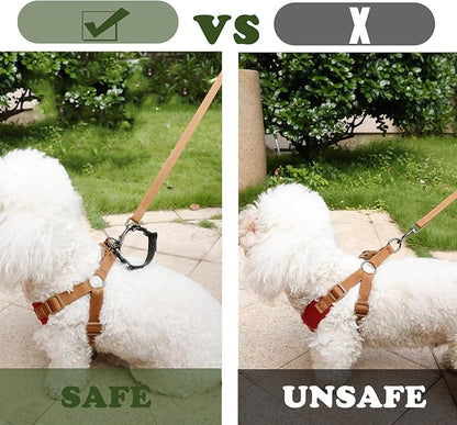 Dog Safety Clip for Prong Collar, Waterproof Leash Backup Clip Connector, Dual Clasps Rotating Buckle for Pinch Collar (2 Pcs)