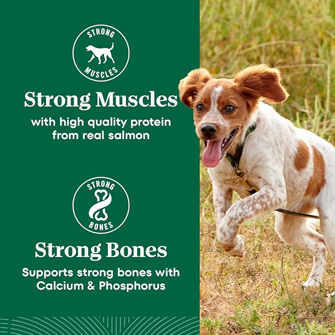 Nutro Natural Choice Adult Small Bites Dog Food, Salmon & Brown Rice Recipe, 4.5 lb. Bag