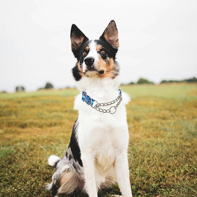 Choke Collar for Dogs - Cartoon Dog Adjustable Training Slip Collar with Chain, Anti Pull Design for Medium & Large Dogs(X-Large)