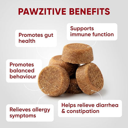 Probiotics for Dogs Digestive Health - Probiotic Chews for Gut Health, Itchy Skin Yeast, Diarrhea - USA Product - Immune Support Supplement - Dog Digestive Support & Allergy Relief Chews with Enzymes