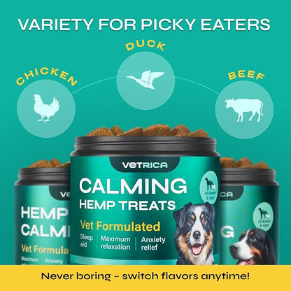 Dog Calming Chews with Hemp - 17,810 mg Hemp Oil per Pack - Soft Calming Chews for Dogs with Melatonin - Relaxation Support for Travel, Grooming, Separation, Thunder, Fireworks - 130 Duck Bites