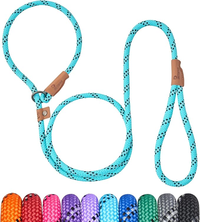 5 FT Slip Lead Dog Leash, Heavy Duty Rope Leash for Small Medium Large Dogs, No Pull Training Lead with Reflective Thread, Strong Comfortable Loop Leash (Teal Stripe, Medium(3/8"))