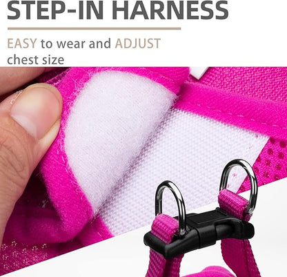 PUPTECK Adjustable Dog Harness Collar and Leash Set Step in No Pull Pet Harness for Small Medium Dogs Puppy and Cats Outdoor Walking Running, Soft Mesh Padded Reflective Vest Harnesses, Solid Pink M