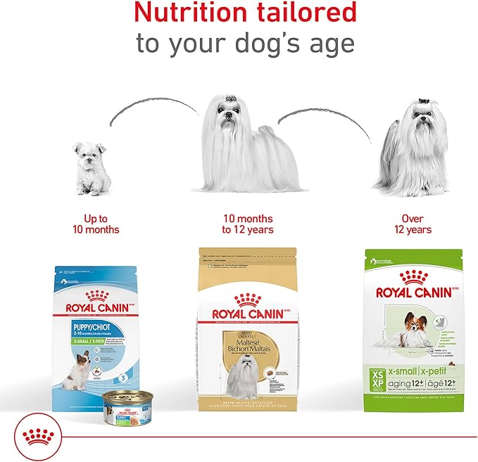 Royal Canin Breed Health Nutrition Maltese Adult Dry Dog Food, 2.5 lb Bag
