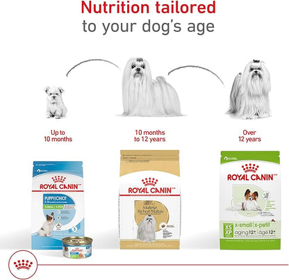 Royal Canin Breed Health Nutrition Maltese Adult Dry Dog Food, 10 lb Bag