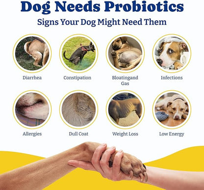 Probiotics for Dogs - Dog Probiotics for Gut, Immune & Skin Health - 6 Billion CFUs, 180 Soft Chews, Salmon & Blueberry Flavor - with Prebiotics & Digestive Enzymes