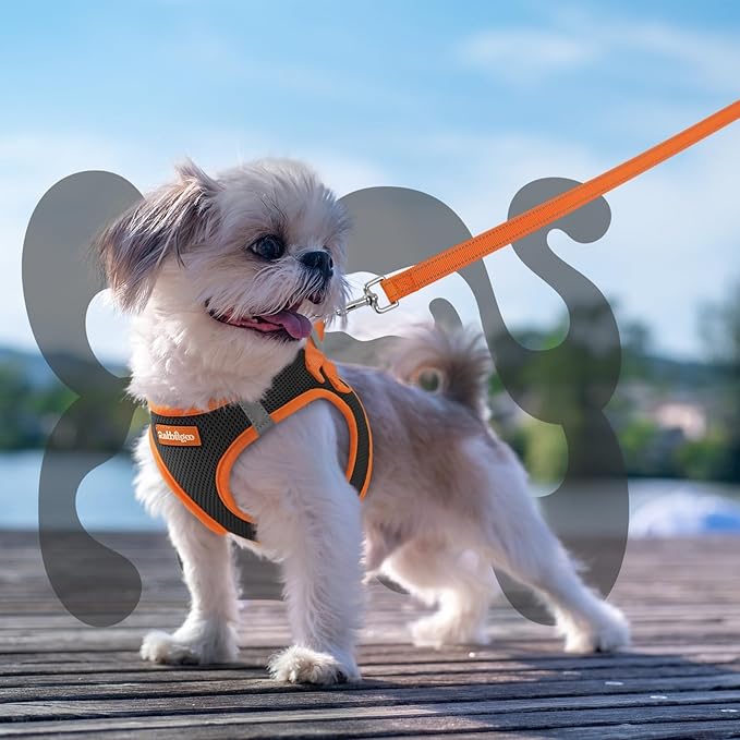 rabbitgoo Dog Harness Small Sized and Leash Set, Step-in Breathable Pet Harness, Soft Walking Reflective Puppy Vest for Small Dogs, Black & Orange, XXS