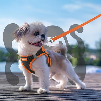 rabbitgoo Dog Harness Small Sized and Leash Set, Step-in Breathable Pet Harness, Soft Walking Reflective Puppy Vest for Small Dogs, Black & Orange, XXS