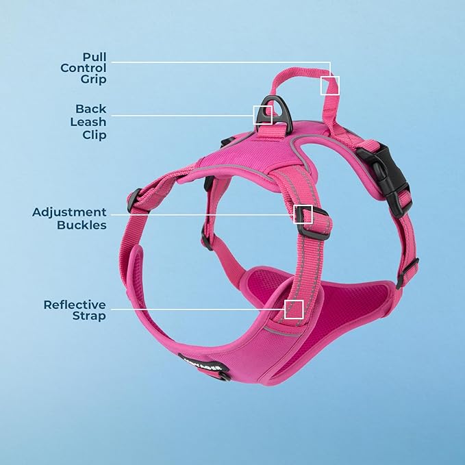 Voyager Dog Harness Dual Leash Attachment No-Pull Control Adjustable Soft but Strong Pet Harness for Medium and Large Dogs with 3M Reflective Technology, Fuchsia Nylon, XL (Chest: 28-37")