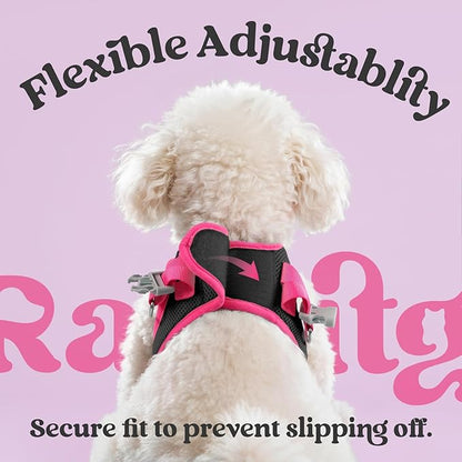 rabbitgoo Dog Harness Small Sized and Leash Set, Step-in Breathable Pet Harness, Soft Walking Reflective Puppy Vest for Small Dogs, Black & Rose Red, XS
