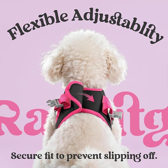 rabbitgoo Dog Harness Small Sized and Leash Set, Step-in Breathable Pet Harness, Soft Walking Reflective Puppy Vest for Small Dogs, Black & Rose Red, L