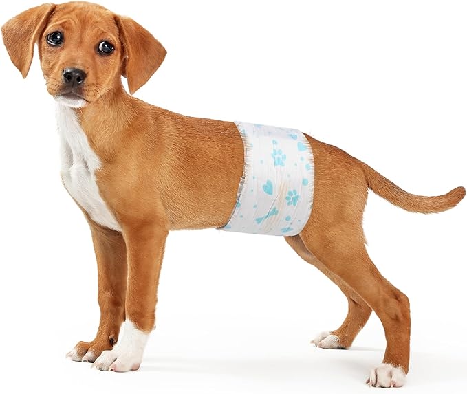 Bestle Male Dog Wrap, Disposable Dog Diapers, 40 Count, M (Waist 19.7”-23.6”), Wetness Indicator, Ultra Protection, Leak Proof, Super Absorbent, Soft