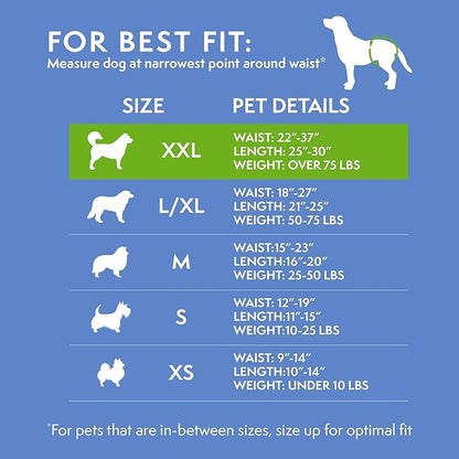 Simple Solution Dog Diapers Female, Dog Diapers, Potty Training, Super Absorbent, Breathable, Wetness Indicator for Urination, 22-37 Inch Waist, (XXL,), 30 Count (Pack of 12)
