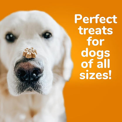 Fruitables Baked Dog Treats Pumpkin & Cranberry Wheat, Corn & Soy Free Healthy, Low Calorie 7 Ounces (Pack of 2)