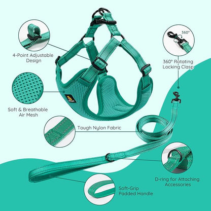 BELLA & PAL Adjustable Step-in Dog Harness, Puppy No-Pull Vest with Leash Set for XS/Small & Medium Dog, Breathable All-Weather Mesh, Reflective Strip, Secure Hook & Loop