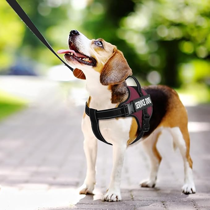 VOOPET Emotional Support Dog Harness, Professional Service Dog Vest for Small Dogs, Reflective, Breathable, Adjustable, No Pull/Choke, ESA Essential Harness
