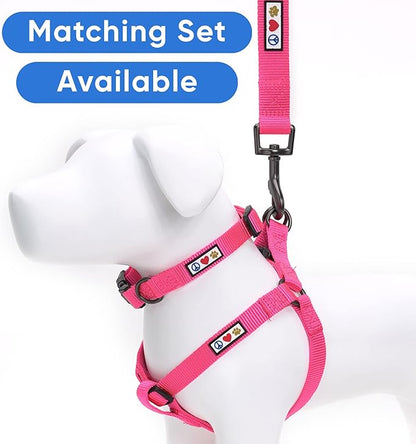 Pawtitas Solid 6 ft Pink Dog Leash M/L Custom Name and Phone Embroidery Strong Nylon Leash for Medium and Large Breeds