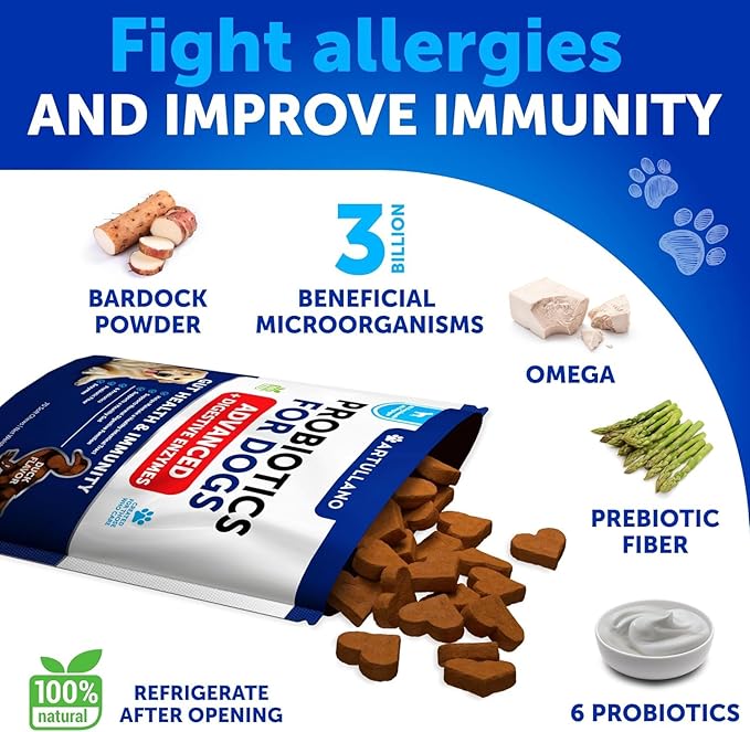 Dog UTI Treatment + Probiotic Chews Bundle - Cranberry Supplement for Bladder & Kidney Support - Probiotics & Prebiotics for Gut Health, Immunity, Yeast Balance, Reduces Diarrhea & Allergies
