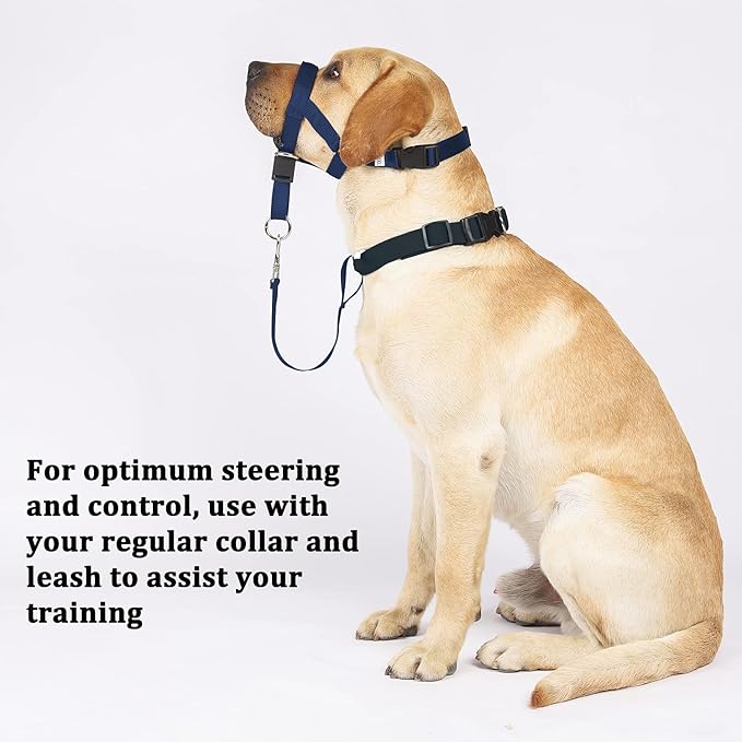 BARKLESS No-Pull Head Collar for Dogs Training & Walking Made Easy, Soft, Adjustable Dog Halter Harness with Safety Link- Put an End to Pulling on The Leash