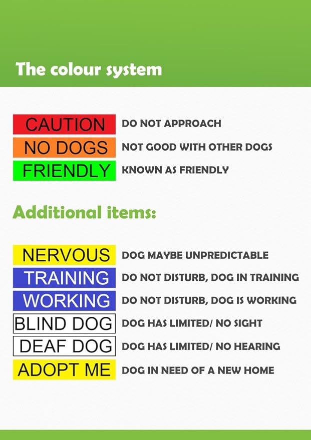 NERVOUS Yellow Color Coded 2 4 6 Foot Padded Dog Leash (Give Me Space) PREVENTS Accidents By Warning Others of Your Dog in Advance (Standard Leash)