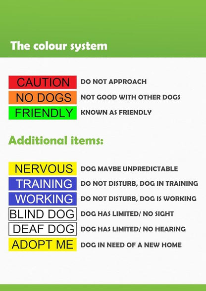NERVOUS Yellow Color Coded 2 4 6 Foot Padded Dog Leash (Give Me Space) PREVENTS Accidents By Warning Others of Your Dog in Advance (Standard Leash)