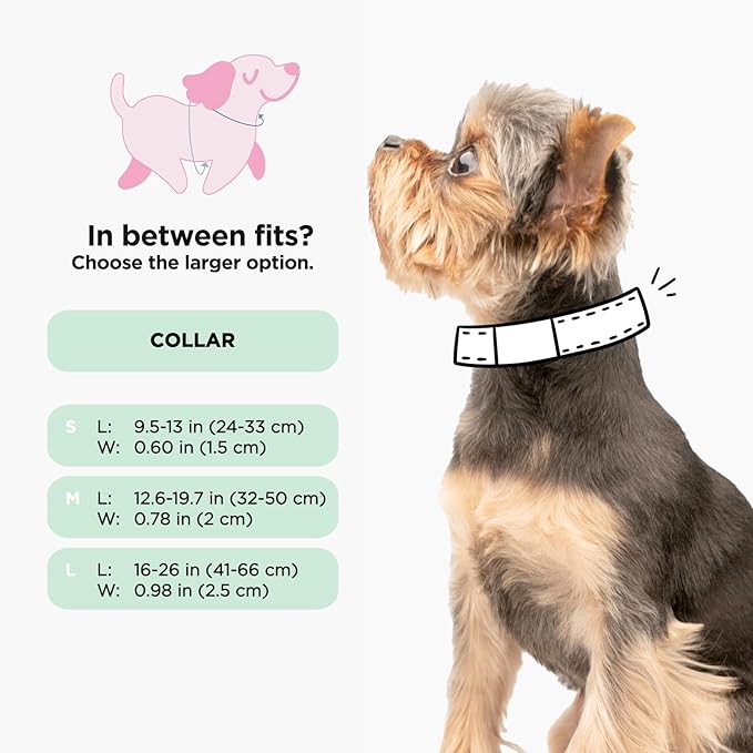 Sassy Woof Dog Collar Hello Kitty® Red Classic - S, Adjustable, Durable, Comfortable, Patented Design and Stylish Pet Accessories for Small Dogs