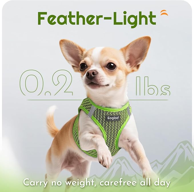 Eagloo Small Dog Harness and Leash Set, Step in Puppy Vest with Breathable Soft Mesh, Walking Reflective Pet Harness for Small Dogs, Green, S
