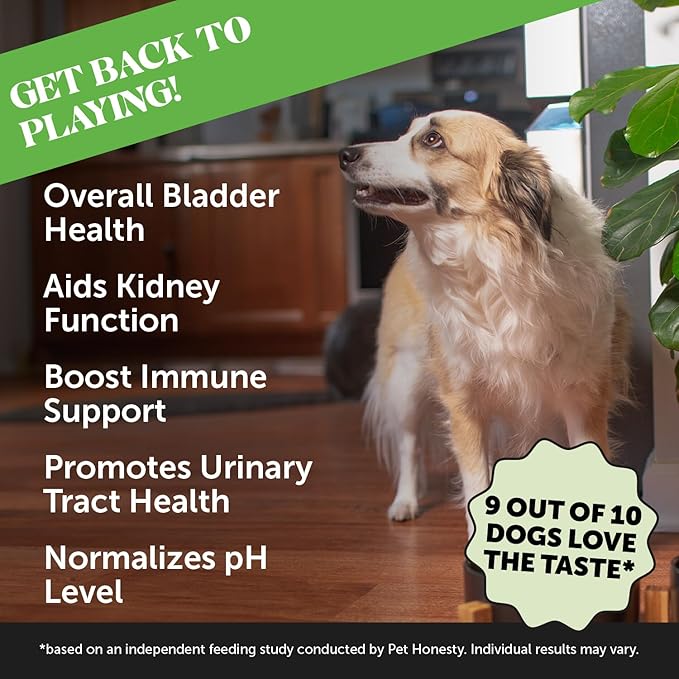 Cranberry Bladder Health for Dogs – Contains Active Ingredients - Cranberry & D-Mannose to Help Support Dog Urinary Tract Health, Dog Bladder Support, & Kidney Support for Dogs (Bacon)