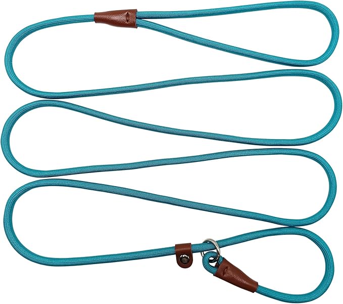 BTINESFUL 7FT Slip Lead Dog Leash, Strong Nylon Rope Leash, 1/4 inch Lightweight Dog Training Lead for Small Medium Large Dogs, Misty Blue