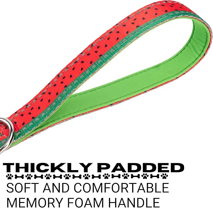 EcoBark Dog Leash - Soft & Reflective Comfort Leash with Padded Handle - Safe, Strong, & Durable for Small, Medium or Large Dogs (Watermelon)