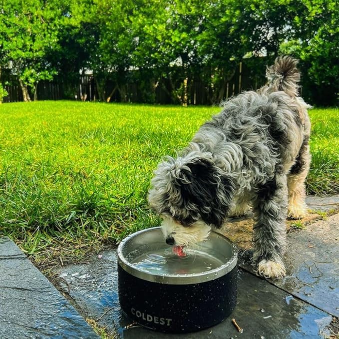 Coldest Dog Bowl - Anti Rust Metal, Non Slip, 3 Layers Insulated Stainless Steel Dog Bowls - Spill Proof & Heavy Duty - Water Bowl for Dogs, Cats & Pets, Dish Washer Safe (42 oz, Stealth Black)