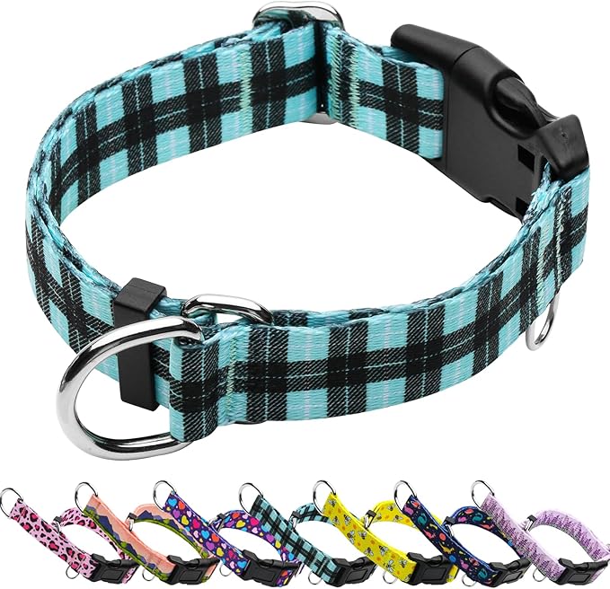Martingale Collar for Dogs with Buckle No Pull Adjustable Nylon Limited Slip Training Dog Collars (Blue Plaid, Small)