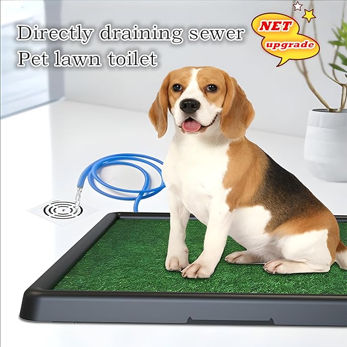 Portable Drainage Pet Urinal,Toilet,Grass Mat.,Potty Grass, Urinal Containing, Toilet Substitute,Puppy Turf,Suitable Size for Most Dogs,Dogs Cushions. 25 * 20 * 2 Inches.