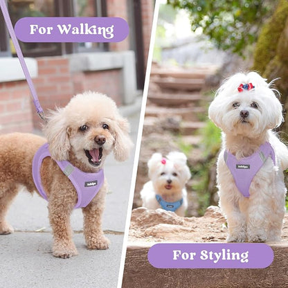rabbitgoo Small Dog Harness, Step-in Soft Mesh Puppy Vest with Safety Buckle, Breathable Reflective Pet Harness for Large Dogs, Light Purple XXL