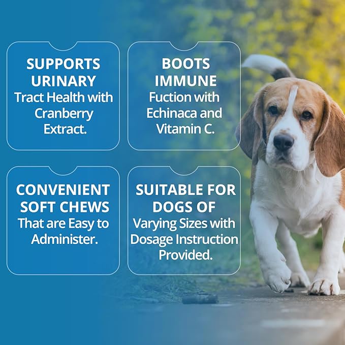 Replenish Urinary Tract Chews for Dogs - Cranberry Extract Chews - Dog UTI Treatment - Immune System Boost - Dog Urinary Health Chews for Senior Dogs - Bladder Support Chews - 60 Counts