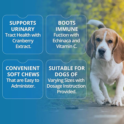 Replenish Urinary Tract Chews for Dogs - Cranberry Extract Chews - Dog UTI Treatment - Immune System Boost - Dog Urinary Health Chews for Senior Dogs - Bladder Support Chews - 60 Counts