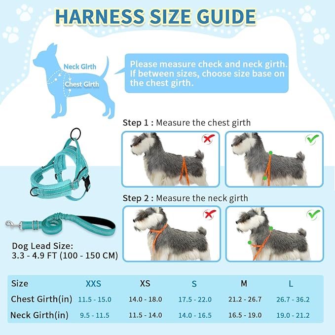 SlowTon No Pull Small Dog Harness and Leash Set, Puppy Soft Vest Harness Neck & Chest Adjustable, Reflective Lightweight Harness & Anti-Twist Pet Lead Combo for Small Medium Dogs (BL-Front Clip,XS)