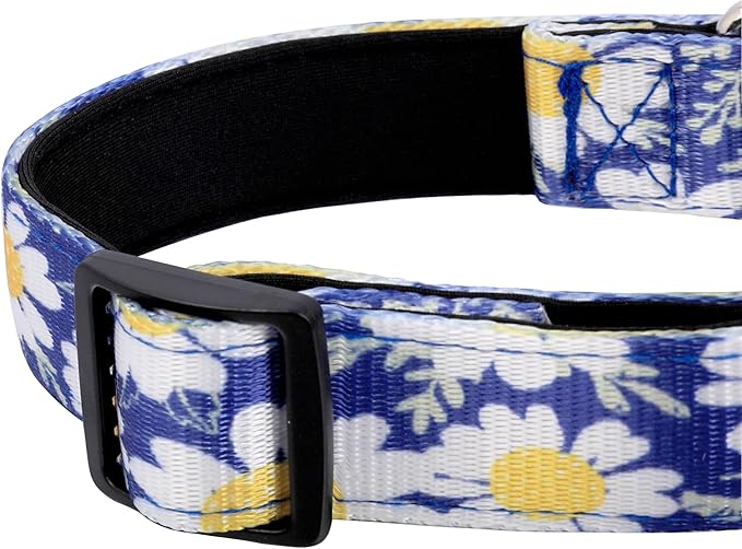 Reflective Dog Collar, Adjustable Soft Neoprene Padded Nylon Pet Collars with Buckle for Puppy and Small Dogs, Cats, Small Daisies Blue,XL