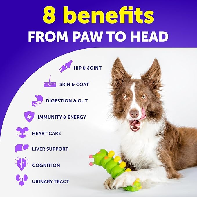 Dog Multivitamin Chewable with Glucosamine 26 in 1 - Dog Vitamins and Supplements - Senior & Puppy Multivitamin for Dogs - Pet Joint Support Health - Immunity, Mobility, Gut Skin - 120 Chews