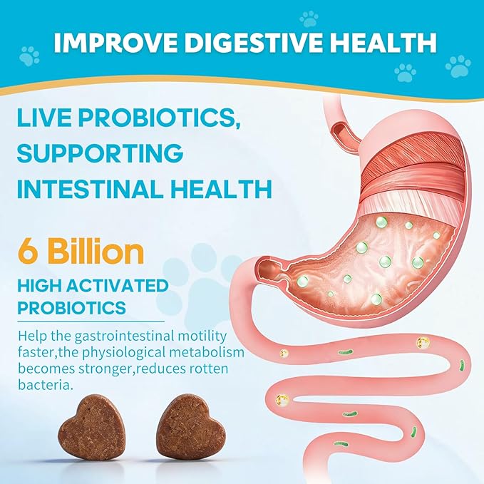 Probiotics for Dogs, Digestive Enzymes Promotes Gut Health, Dog Probiotics Chews for Bowel Support, Digestion Health, Immune Support, Reduce Diarrhea, Prebiotics Dog Probiotics - 120 Ct