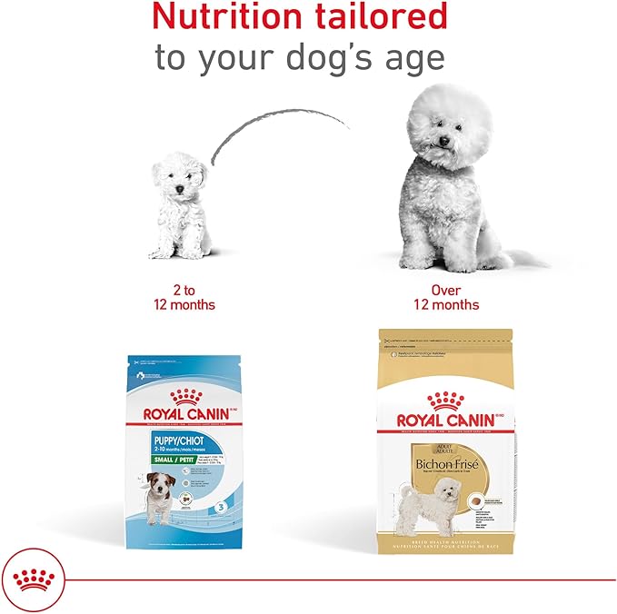 Royal Canin Breed Health Nutrition Bichon Frise Adult Dry Dog Food, 3 lb Bag