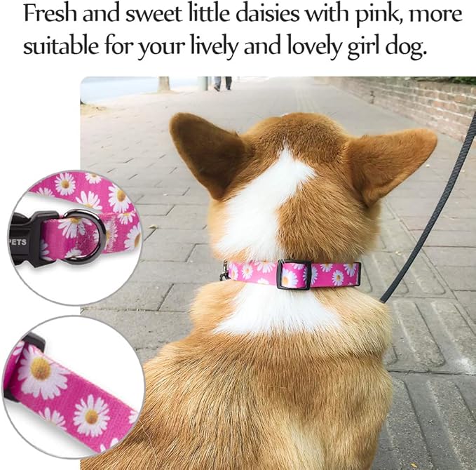 QQPETS Adjustable Soft Dog Collar: Print Flower Pink Multicolor Cute Patterns for XS Small Medium Large Pet Girl Boy Puppy Walking Running Training (L, Small Daisies)
